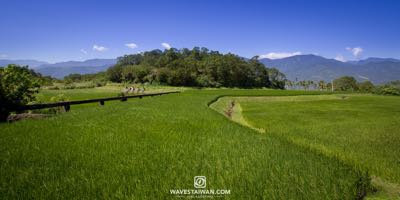 Order #: 0150 wavestaiwan6891.jpg